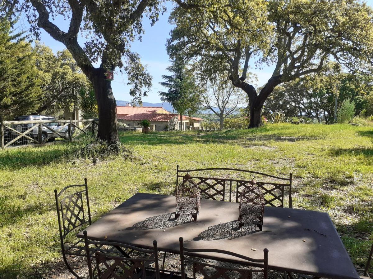 Villa Casa Da Vinha Castelo Novo Esterno foto