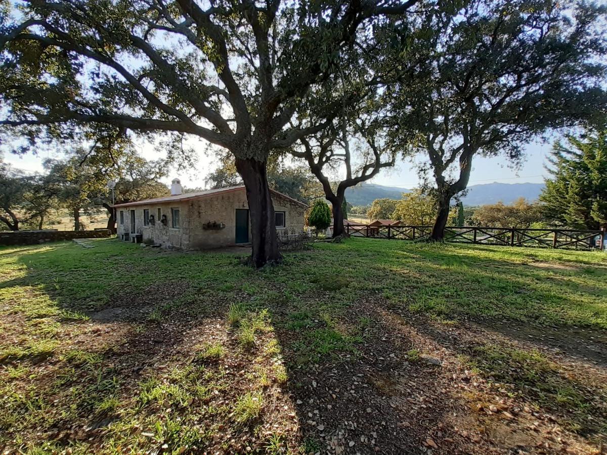 Villa Casa Da Vinha Castelo Novo Esterno foto