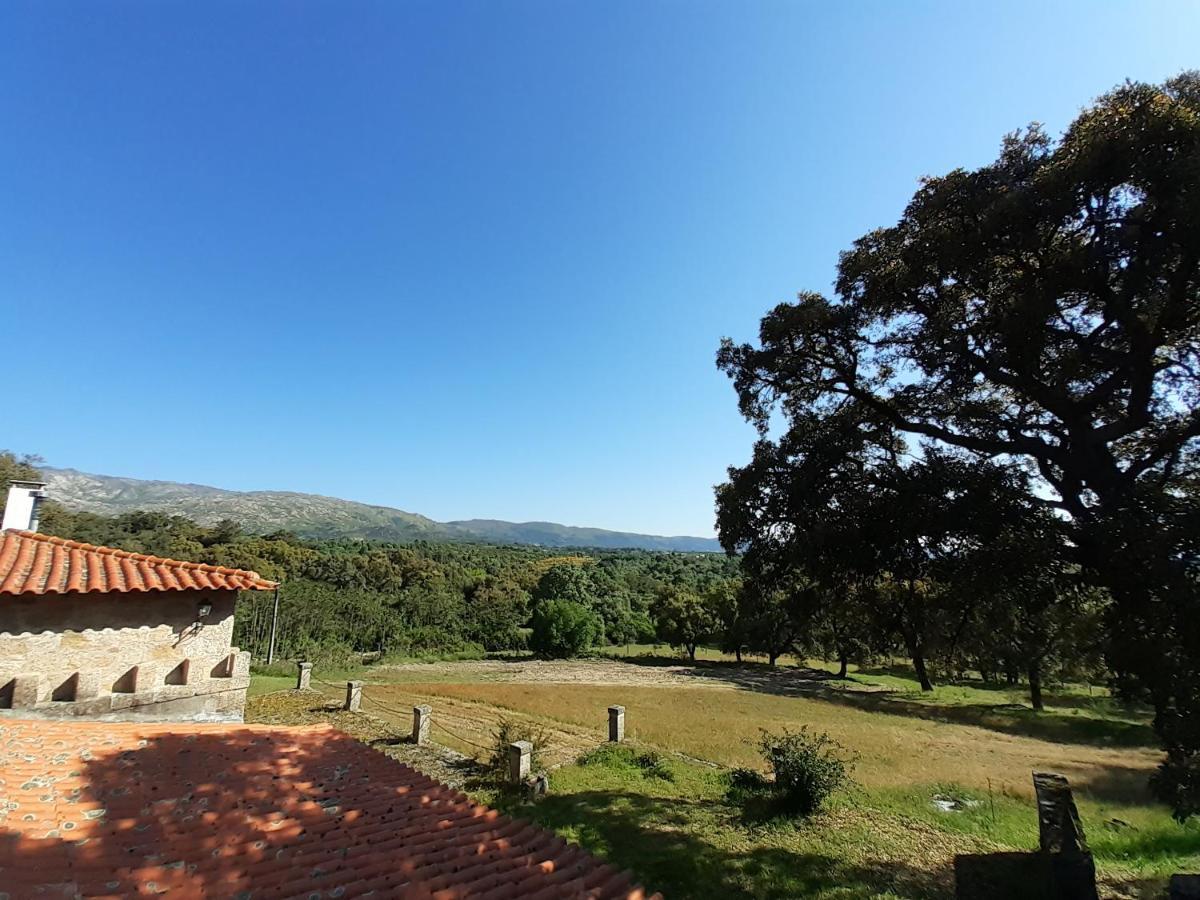 Villa Casa Da Vinha Castelo Novo Esterno foto