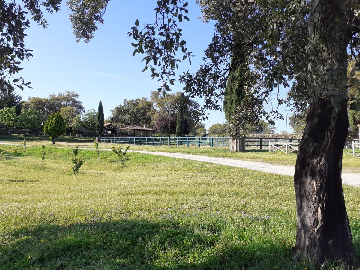 Villa Casa Da Vinha Castelo Novo Esterno foto
