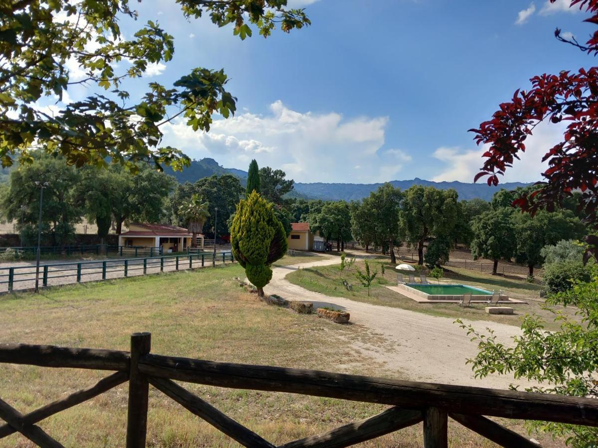 Villa Casa Da Vinha Castelo Novo Esterno foto