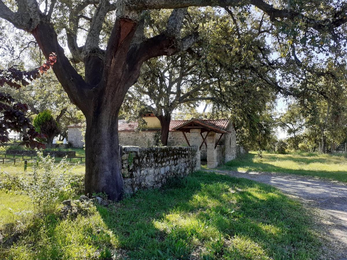 Villa Casa Da Vinha Castelo Novo Esterno foto
