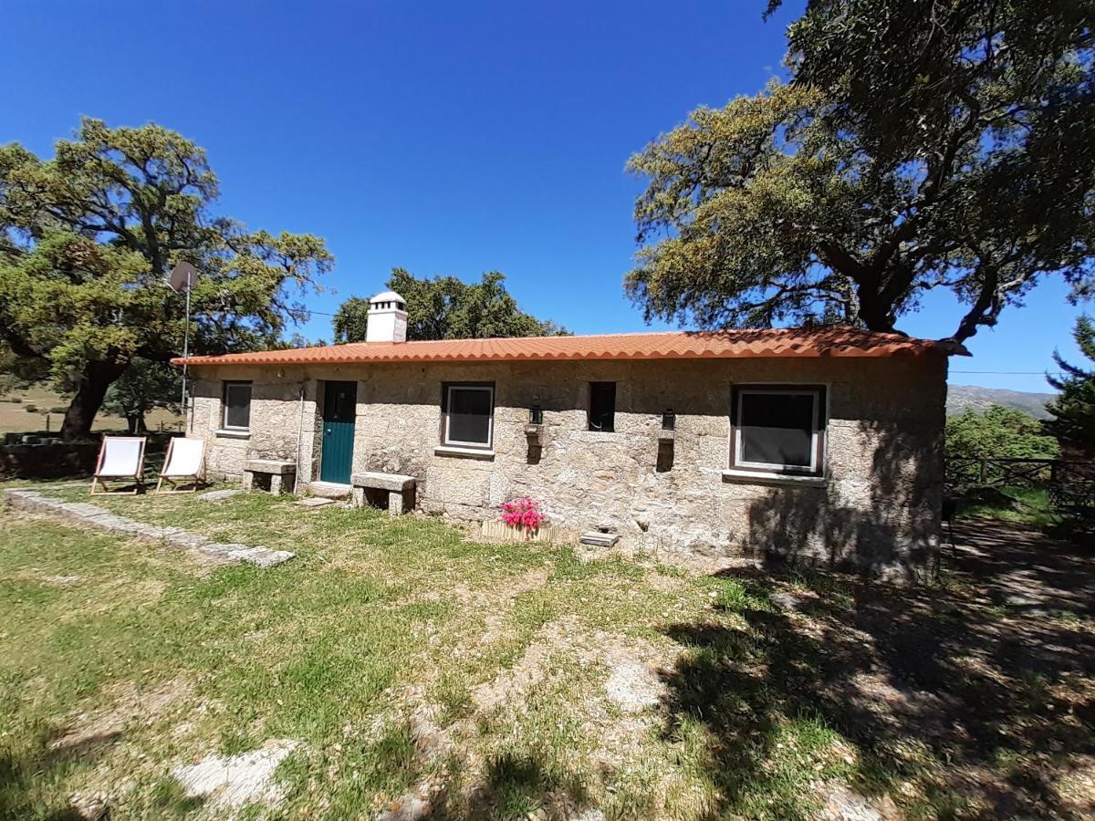 Villa Casa Da Vinha Castelo Novo Esterno foto