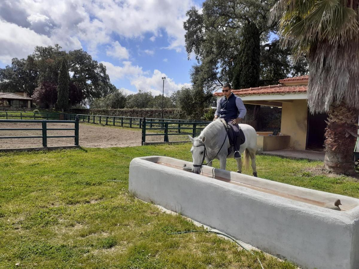 Villa Casa Da Vinha Castelo Novo Esterno foto