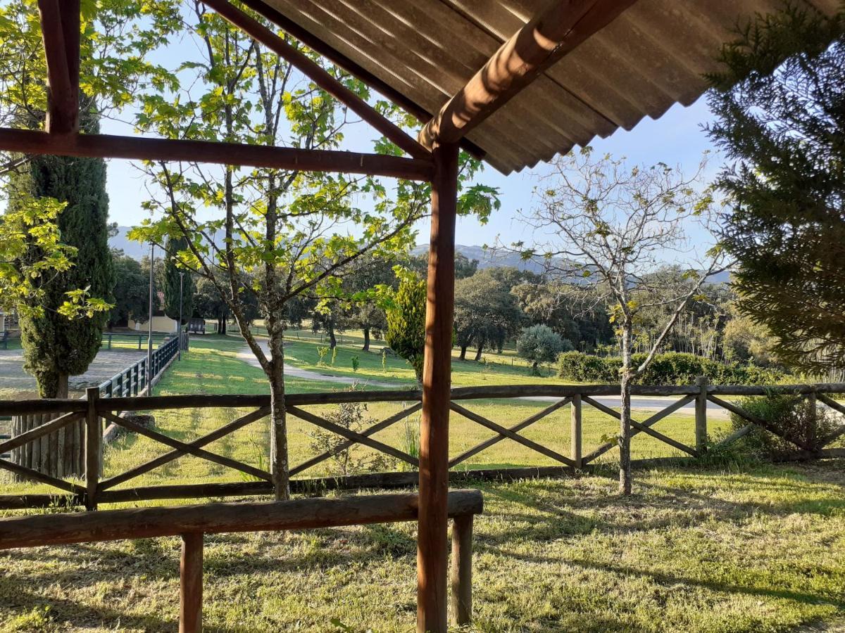 Villa Casa Da Vinha Castelo Novo Esterno foto