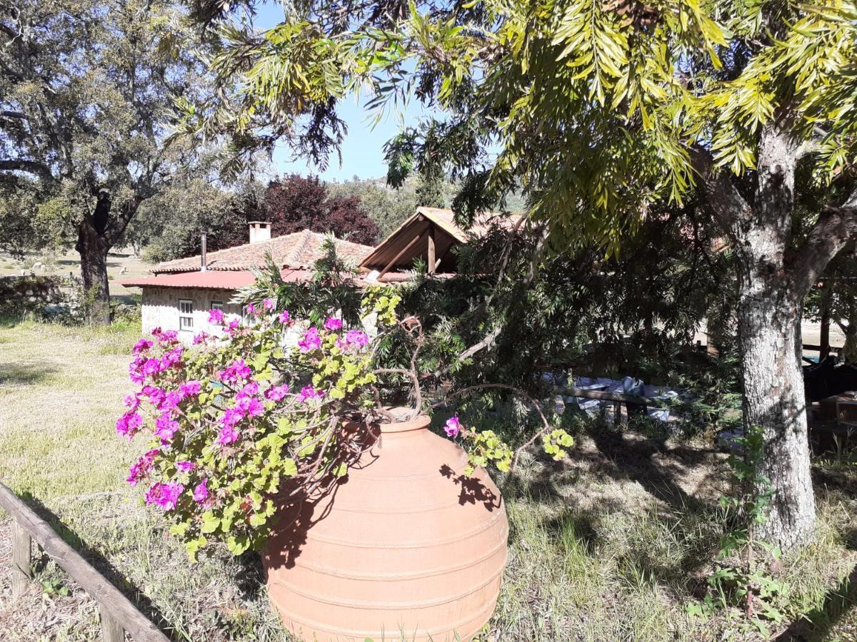 Villa Casa Da Vinha Castelo Novo Esterno foto
