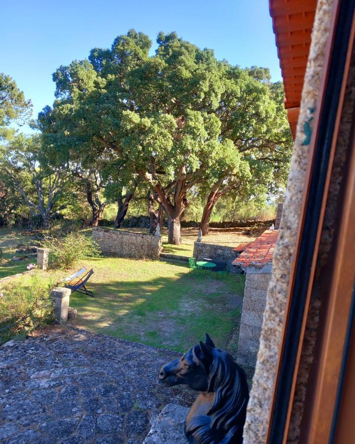 Villa Casa Da Vinha Castelo Novo Esterno foto
